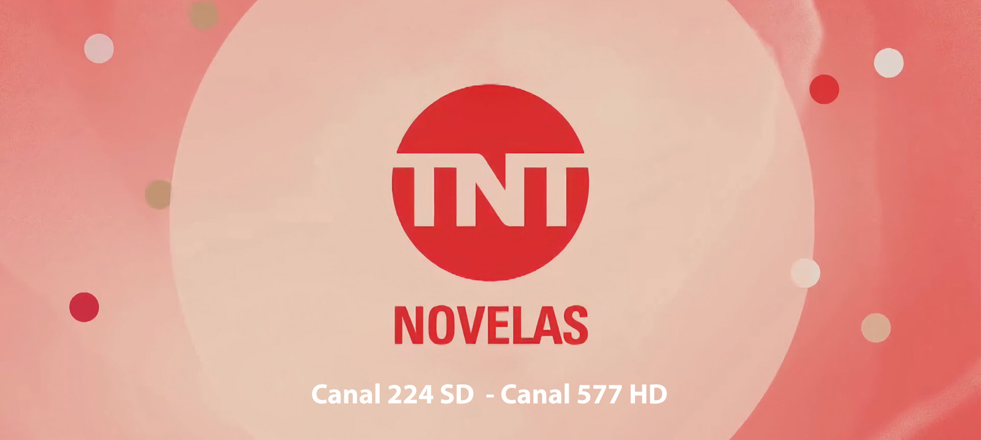 TNT Novelas